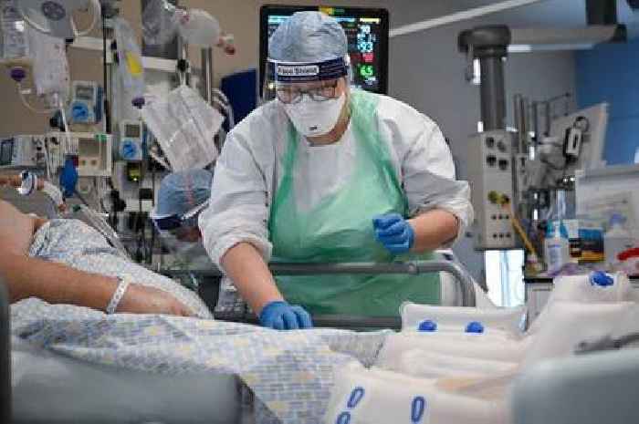 BBC doctor shares sepsis symptoms to look out for in 'serious' warning