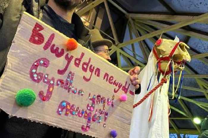 Parents calling for new Welsh medium school in Cardiff gather at County Hall again