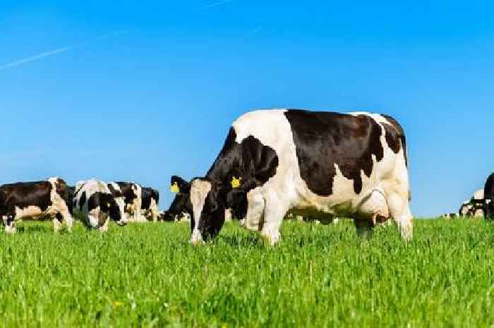 Apology after farmers fume over council campaign suggesting people switch to non-dairy milk