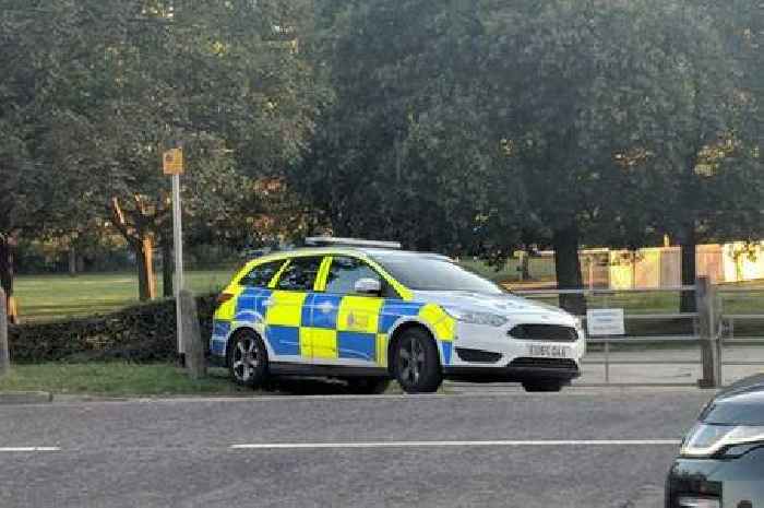 Live Chelmsford Parkway updates as serious crash involving pedestrian and car shuts road