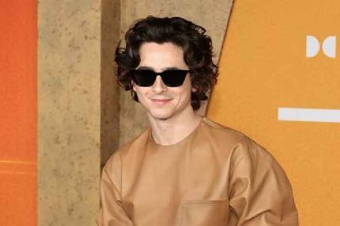 Inside Timothée Chalamet's life off screen including romantic link to Madonna