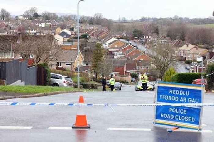 Man arrested after Newport crash where woman and dog were pinned under car