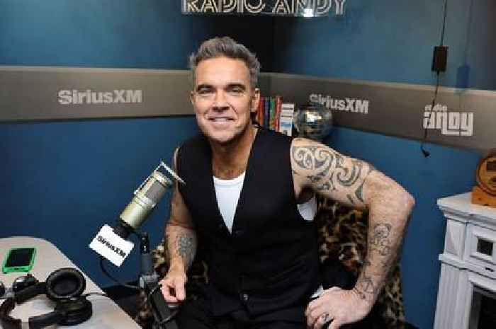 Robbie Williams confesses to berating wheelchair users for not standing at gig