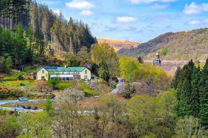 Much-loved tearoom in 'Welsh Lake District' set to reopen