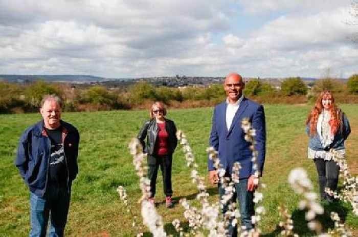Brislington Meadows homes plan should be stopped but it won't be, admits MP
