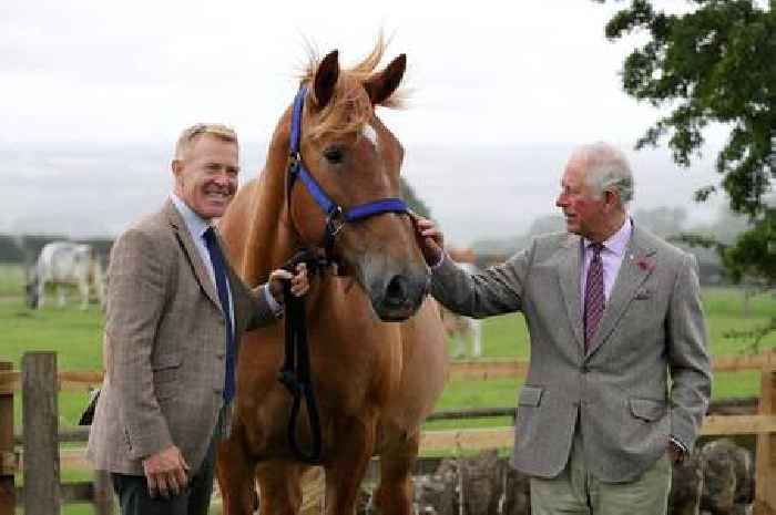 BBC Countryfile's Adam Henson addresses fears 'jobs could be wiped out on farms'