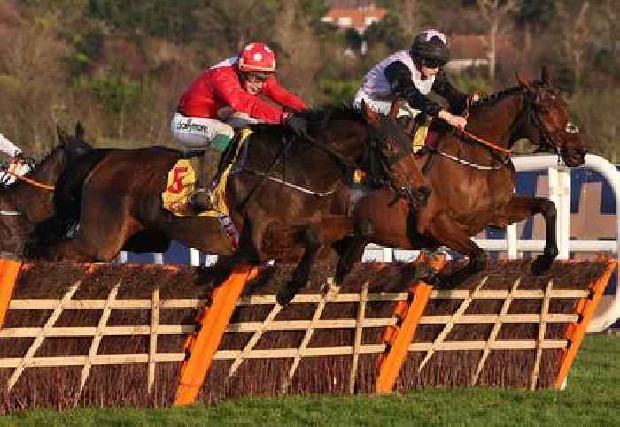 Lee can bring Home the Stayers’ Hurdle bacon