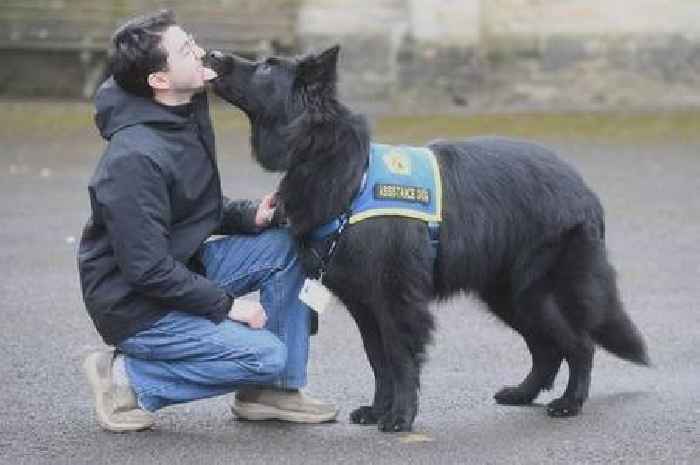 Dog who stops his owner falling into diabetic coma is made honorary member of staff at university