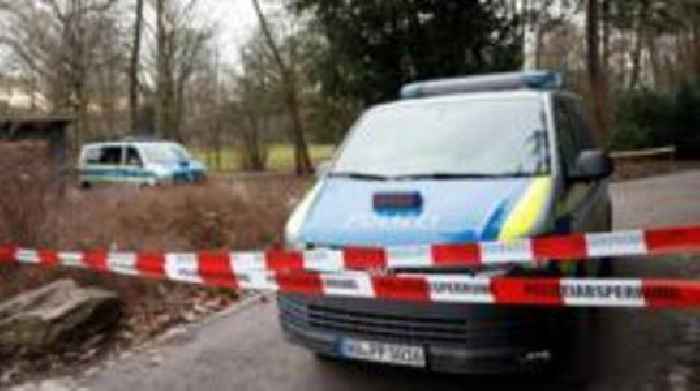 Toddler and man fatally stabbed in German park - Afghan man held