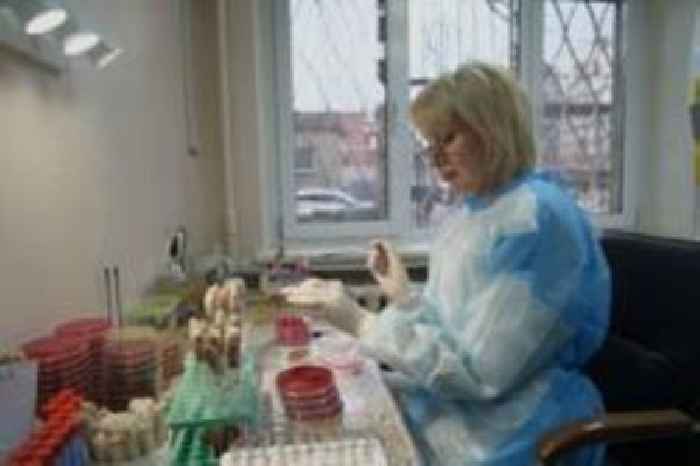 Dangerous drug-resistant bacteria are spreading in Ukraine