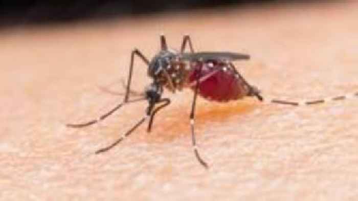 Study to deliberately infect people with malaria