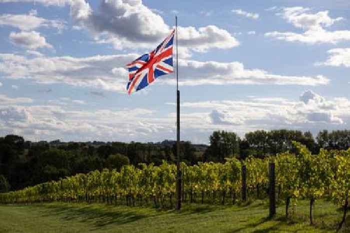 British wine industry calls on Eurostar to bring back Kent services