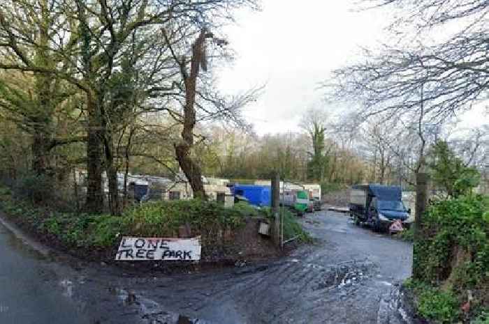 'Show some humanity' as Travellers forced out of Devon site