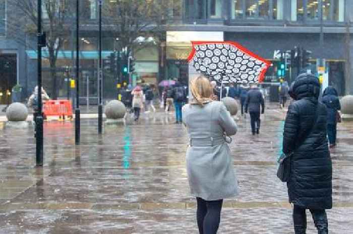 Met Office issues storm weather warning for Essex as Storm Éowyn to bring 50mph winds