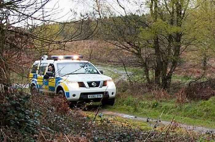 Sheep rustlers in 4X4 steal 20 lambs from field