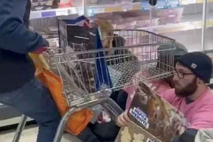 Shoppers try to ram Animal Rising protesters with trolleys in Sainsbury's meat aisle