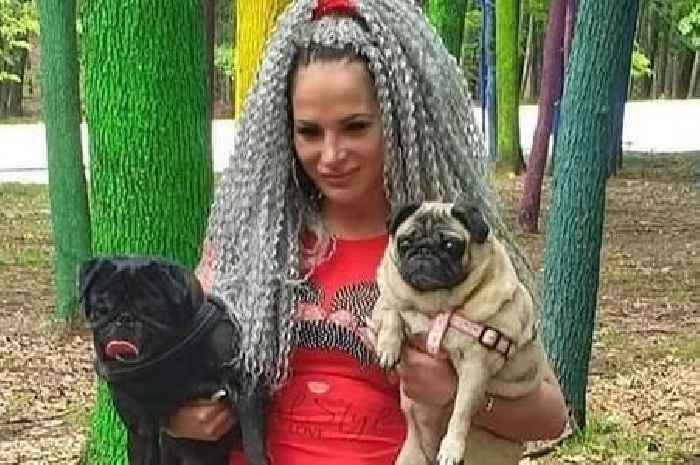 Woman's body found half-eaten by pet pugs after unexplained death