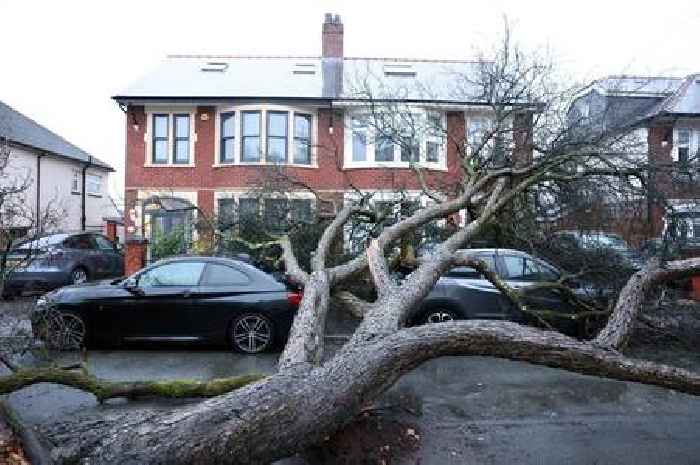 Storm Éowyn weather warning for Wales upgraded to amber 'danger to life' status