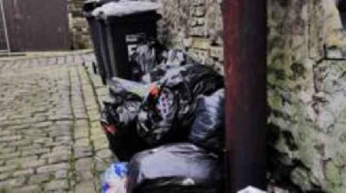 Bins not collected 'since before Christmas'