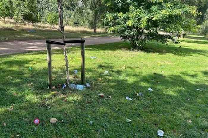 Teen stabbed in Birmingham park 'serious but stable' as police issue 'concerning' update