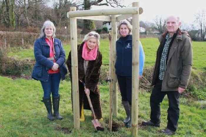 Small Somerset village is on a mission to save its rarest butterflies