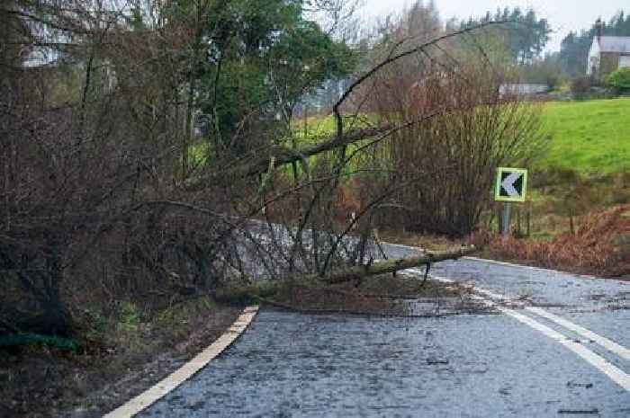 Emergency 'armageddon alert' to be sent to millions of phones tonight over Storm Eowyn