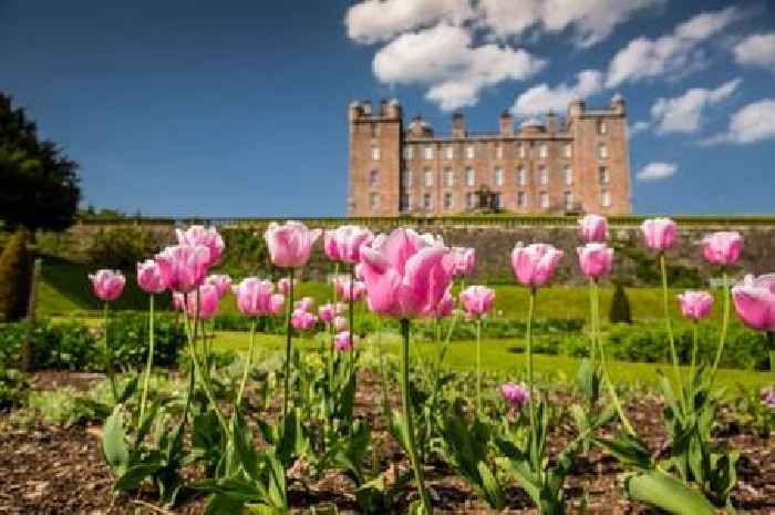 Storm Eowyn: Dumfries and Galloway visitor attractions issue 'stay away' warning ahead of 100mph winds