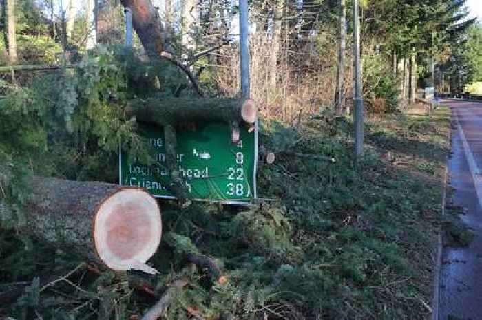 Storm Eowyn: Stirling's bin collections and burial services cancelled as council takes action ahead of 100mph winds