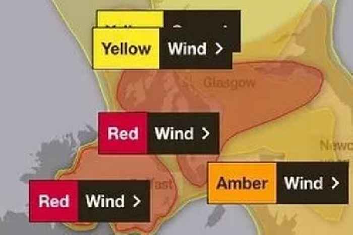 Storm Eowyn advice from British Red Cross as Scotland braces for high winds