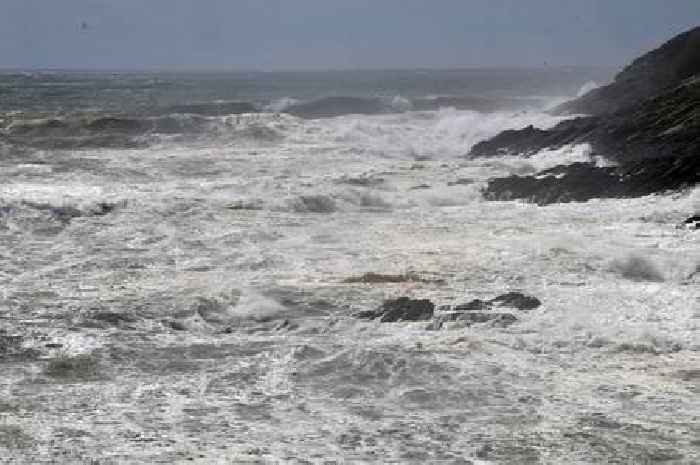 People warned of stomach-churning problem at 31 beaches and waterfront locations in Wales