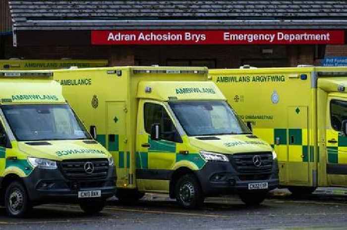 The incredible amount of time lost to ambulances waiting outside hospitals