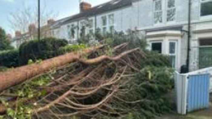 Trees down, roads shut and power off in Storm Éowyn