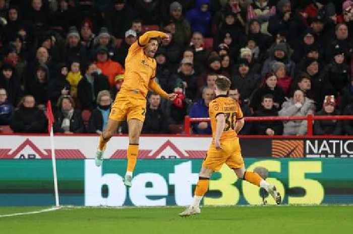 Hull City player ratings at Sheffield United as three Tigers score a 9 at Bramall Lane