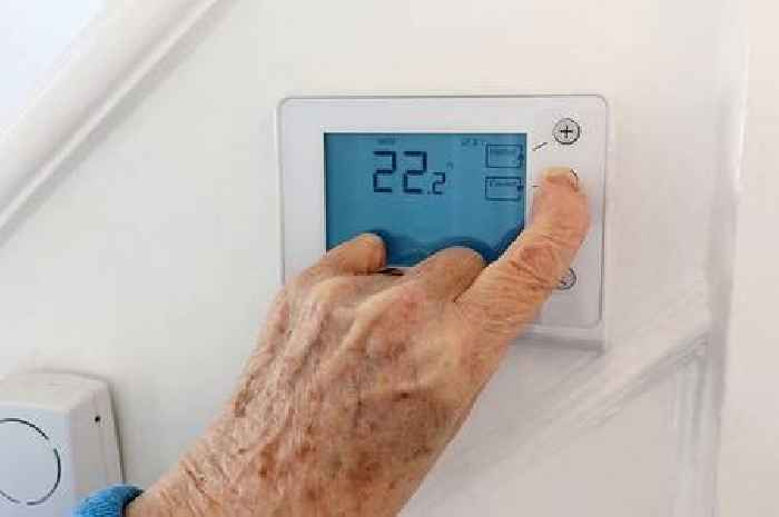 British Gas, Octopus, Eon, EDF and OVO 'to pay customers with a thermostat'