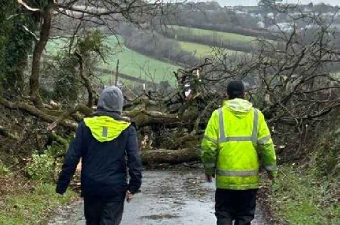 Tornado in Cornwall forces woman to grab pole fearing she would 'take off'