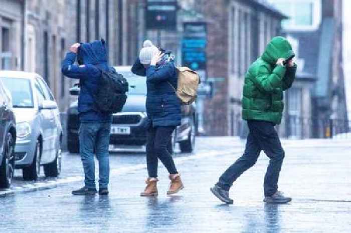 Storm Eowyn blackouts hit 11,000 homes in one area as thousands of Scots lose power