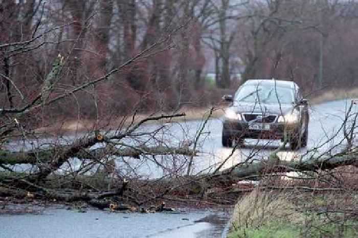 Storm Éowyn in pictures as 100mph winds wreak havoc across Scotland