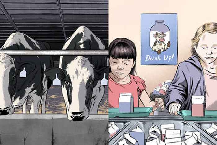 How factory farming built America