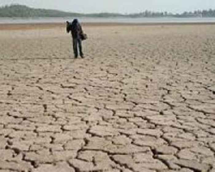 Pakistan drought dents winter harvest