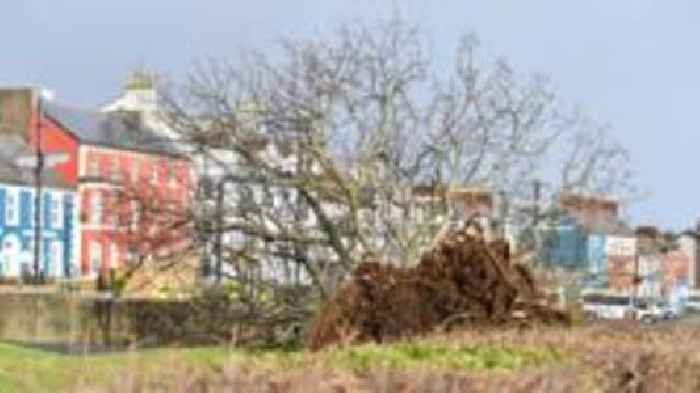 Clear-up continues after Storm Éowyn batters NI