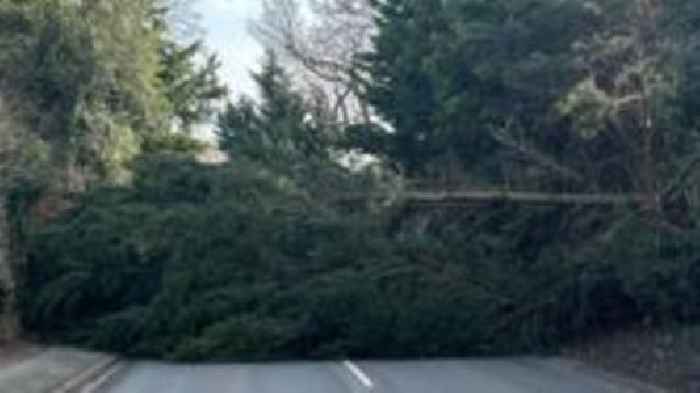 Warning of more wind and rain after Storm Éowyn