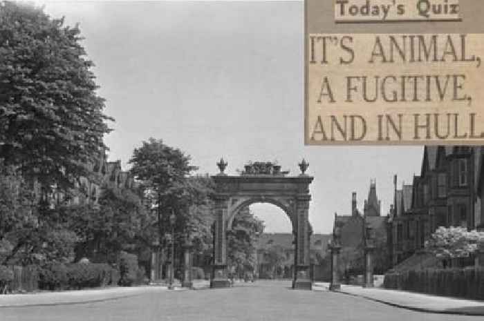 'It's animal, a fugitive, and in Hull' - the unearthed story of Jerry the escaped monkey who roved Hull's rooftops in 1947