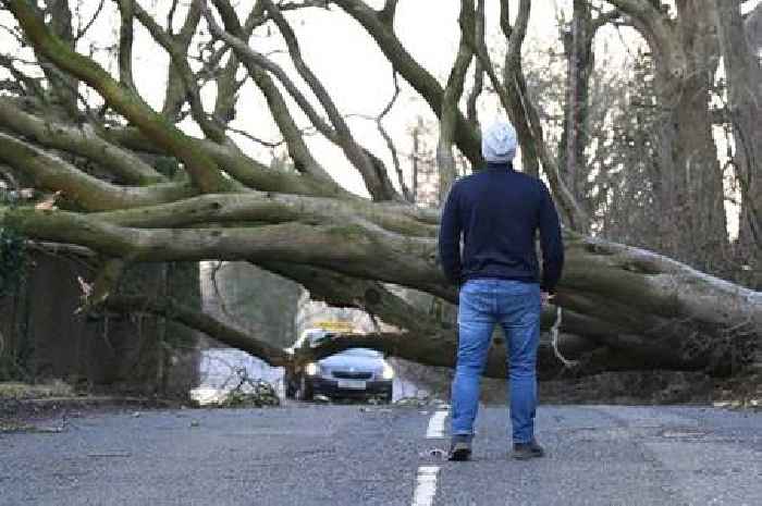 Storm Eowyn winds drop but Met Office warns of rain and floods ahead