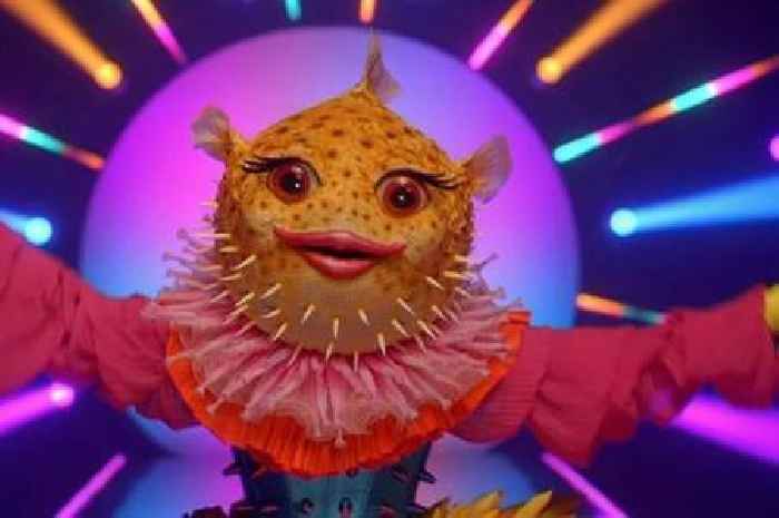 ITV Masked Singer Pufferfish's identity 'exposed' as fan says 'let me explain why'