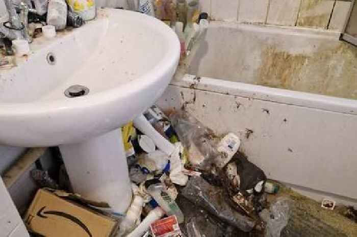 Shock reality of cleaning a hoarder's home laid bare