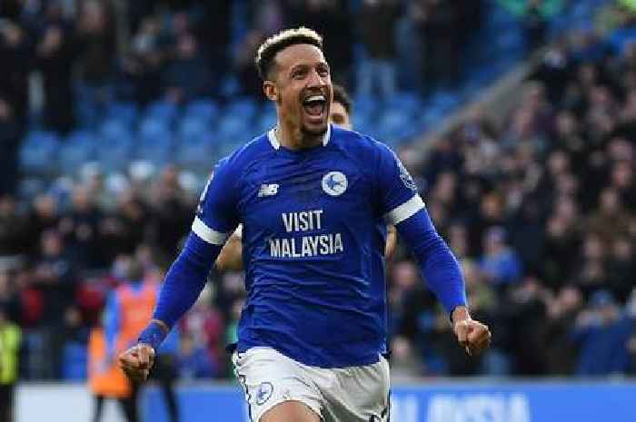 Cardiff City player ratings as Robinson impresses again and substitute changes game