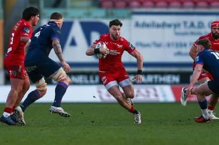 Scarlets seal hard-fought win as overlooked Wales stars shine