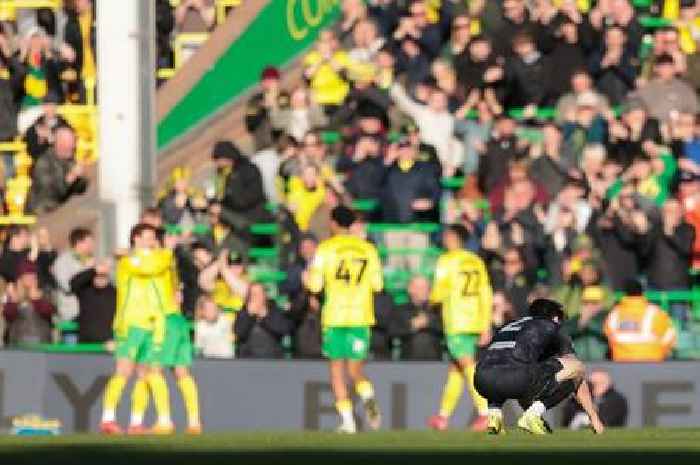 Swansea City destroyed by Norwich City as Luke Williams under pressure