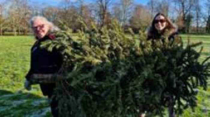 Tree recycling raises thousands for charity