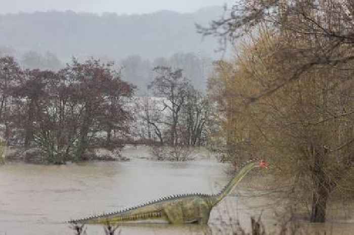 The time a dinosaur was spotted in the River Avon near Bristol